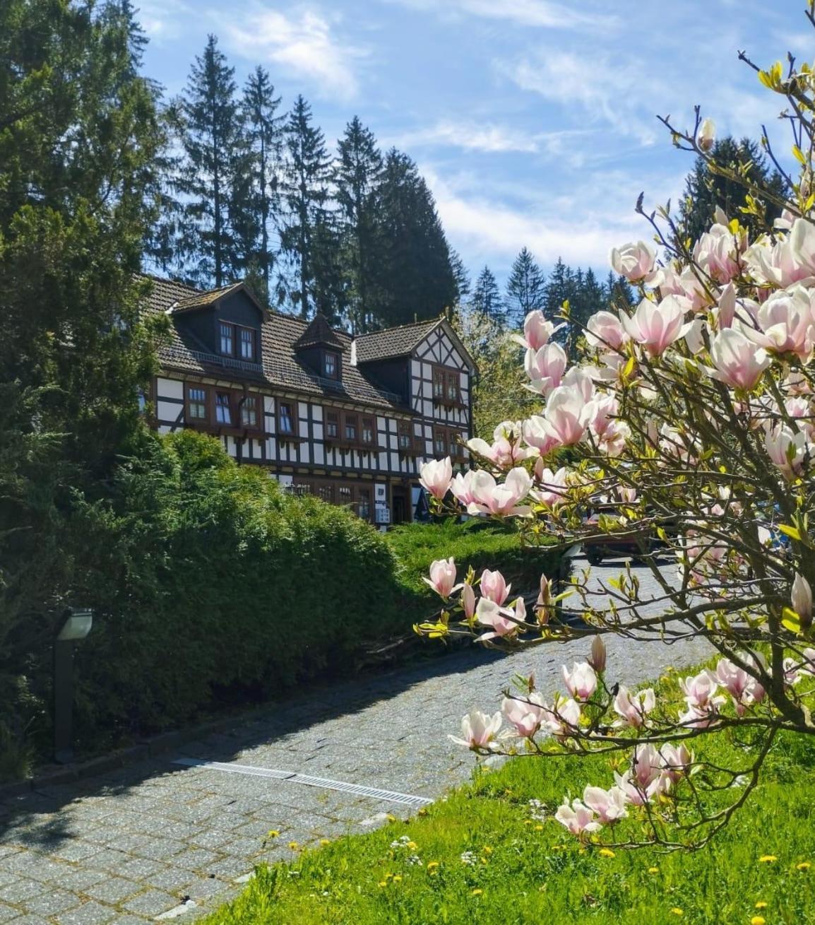 Pension Landhaus Machold 프리에드리치로다 외부 사진